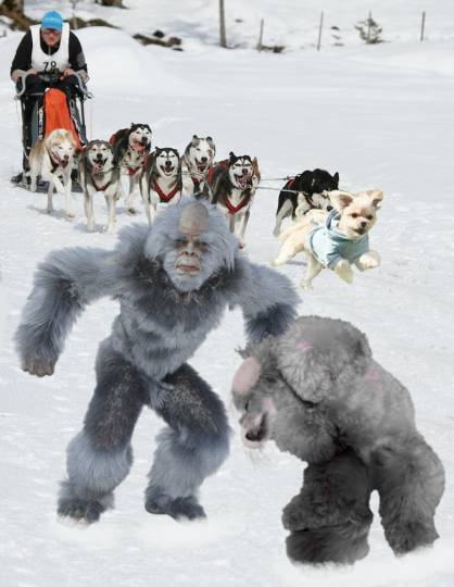 生き物ルーム第30