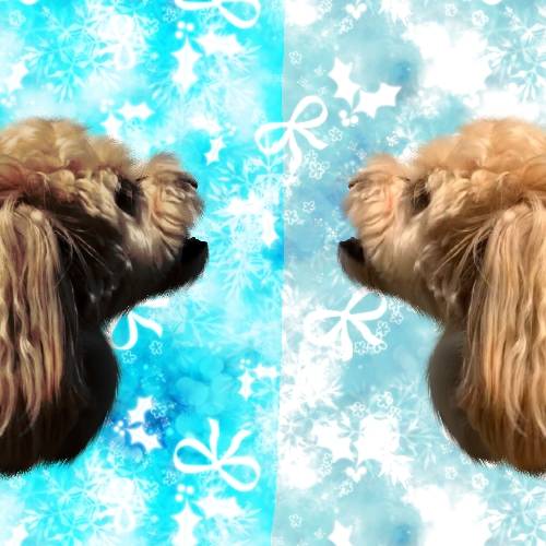 生き物ルーム第30