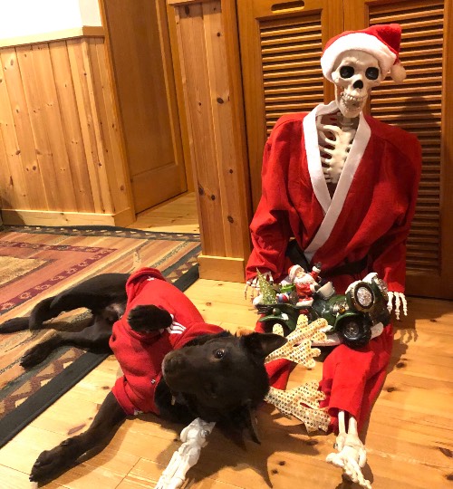 生き物ルーム第31