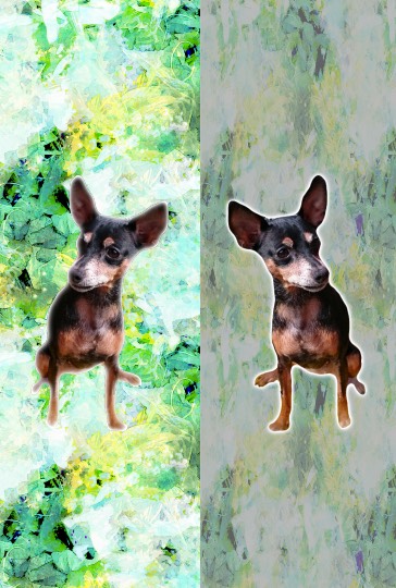 生き物ルーム第30