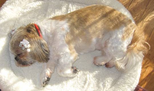 生き物ルーム第31