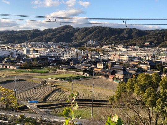 コストコユーザーのドンキ♡♡ロピア 雑談 2