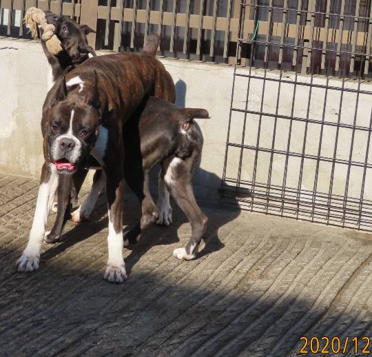 生き物のルーム第32