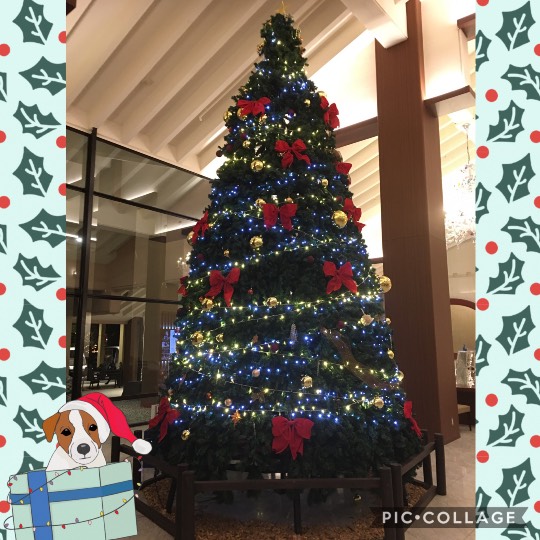 雑談クリスマス会 2020