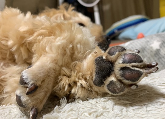 生き物ルーム第31