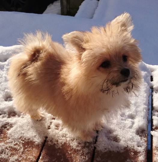 生き物ルーム第31