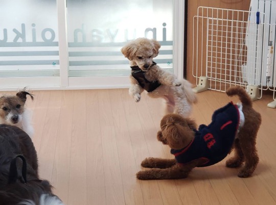 生き物ルーム第31