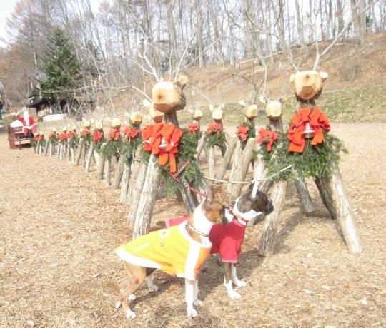 生き物ルーム第31