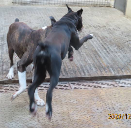 生き物ルーム第31