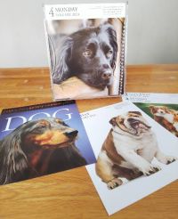 12月27日(日曜日)　千葉ニュータウン倉庫店｜8時ごろに着きました。
開店していて、...