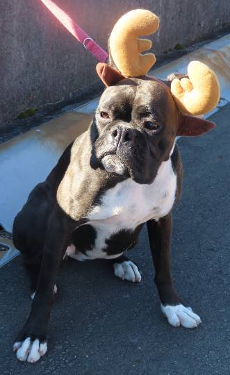 生き物ルーム第31