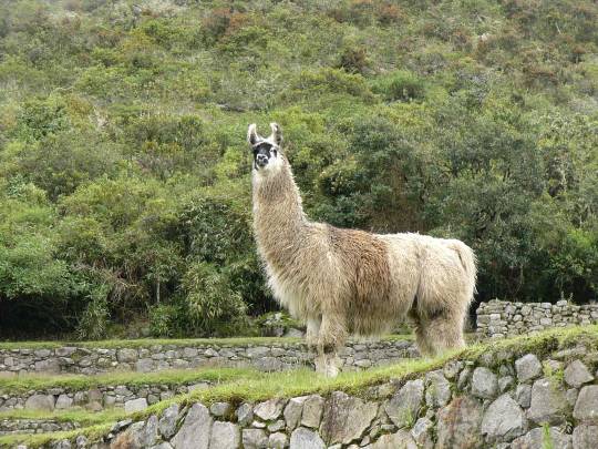 生き物ルーム第31