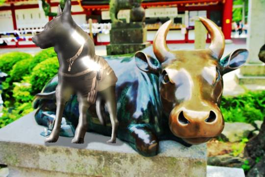 生き物ルーム第30