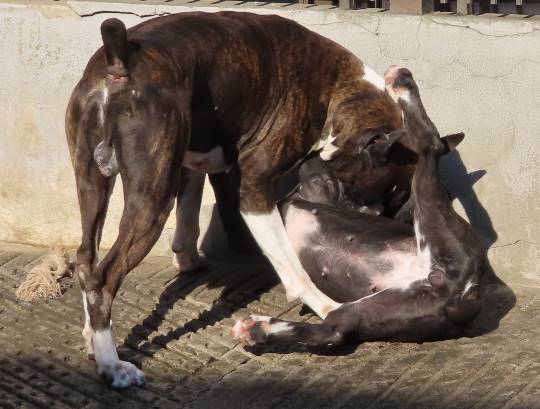 生き物のルーム第32