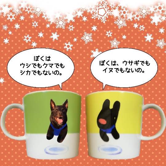 生き物ルーム第30