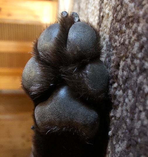 生き物ルーム第31