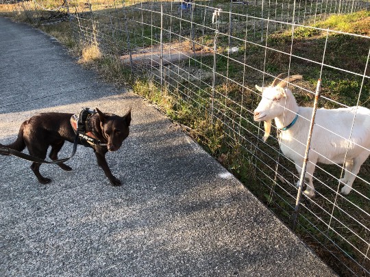 生き物ルーム第30