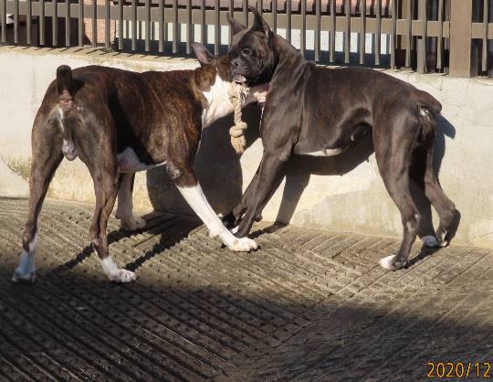 生き物のルーム第32