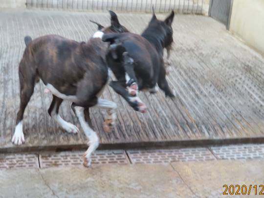 生き物ルーム第31