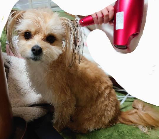 生き物ルーム第33