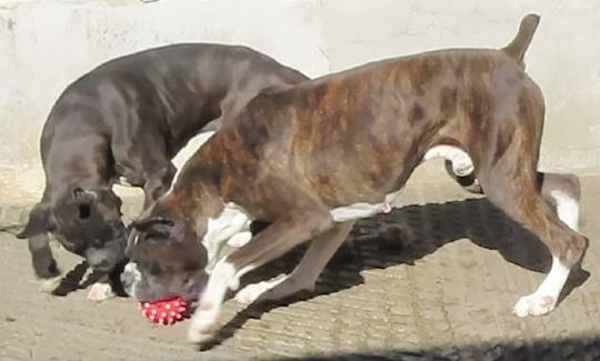 生き物ルーム第33