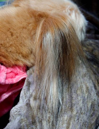 生き物ルーム第33