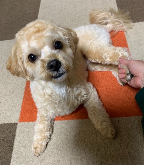 生き物ルーム第33