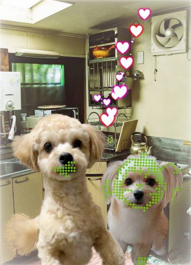 生き物ルーム第33