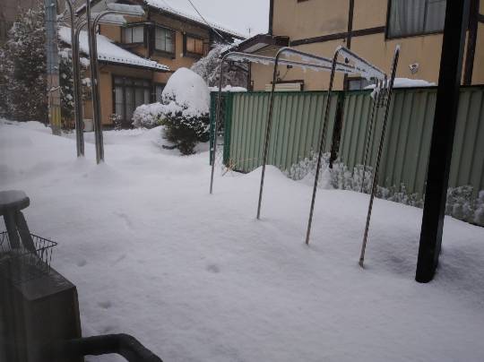 ★ドンキ♡♡ロピア 雑談10★