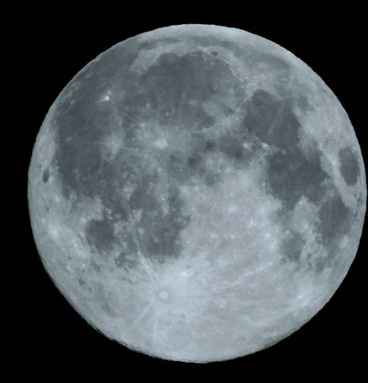 【スナックJINJIN】お待たせいたしました！9号店、本日オープンいたします!!