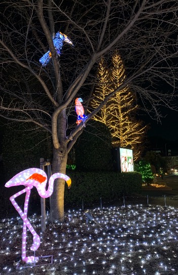 南関東トピック Vol.1.5.1