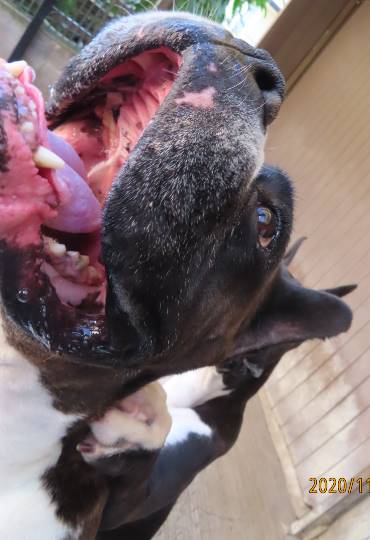 生き物のルーム第32