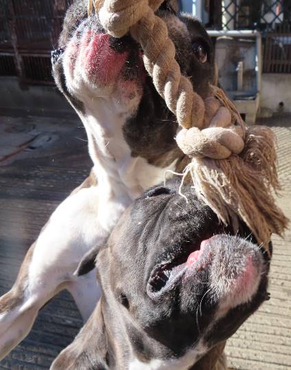 生き物のルーム第32