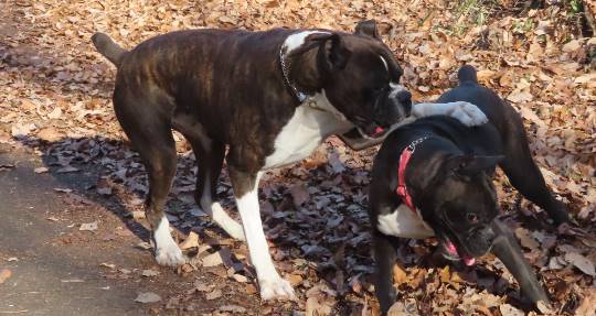 生き物ルーム第33