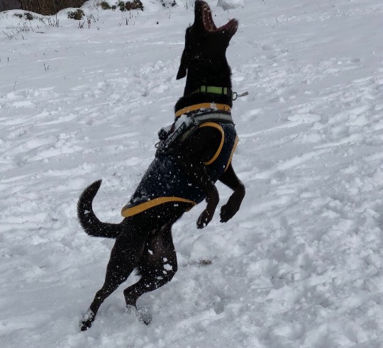 生き物のルーム第32