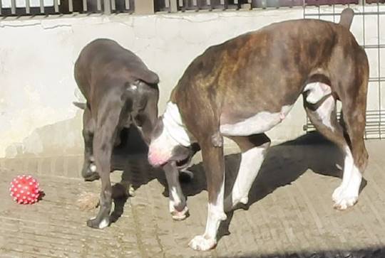 生き物ルーム第33