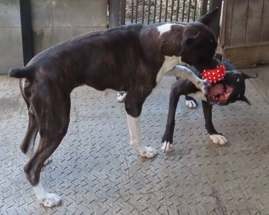 生き物ルーム第33