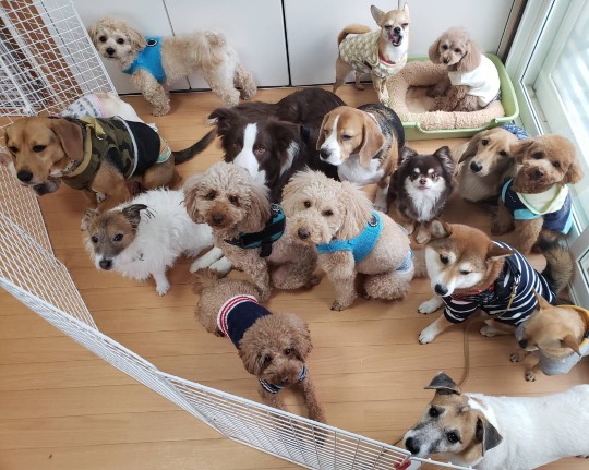 生き物ルーム第33