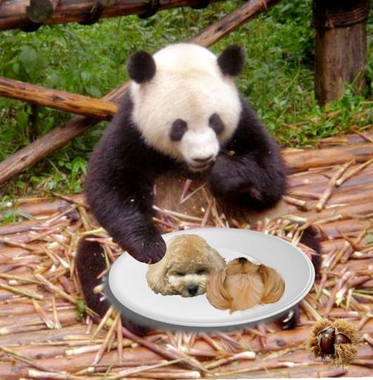 生き物のルーム第32