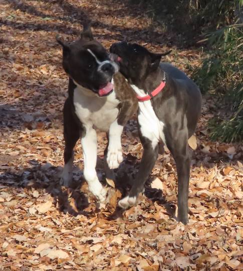 生き物ルーム第33