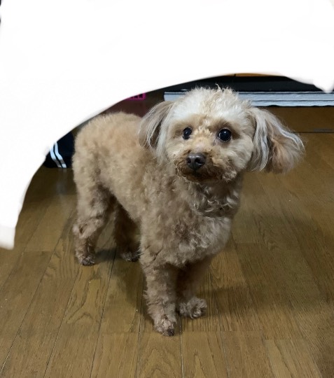 生き物ルーム第33