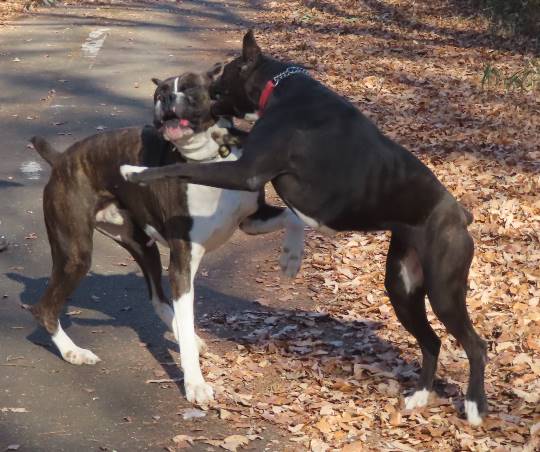 生き物ルーム第33