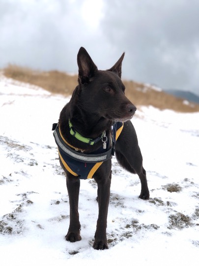 生き物のルーム第32