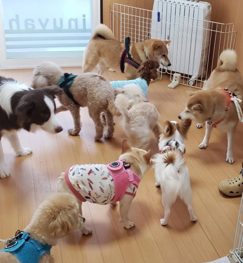 生き物ルーム第33