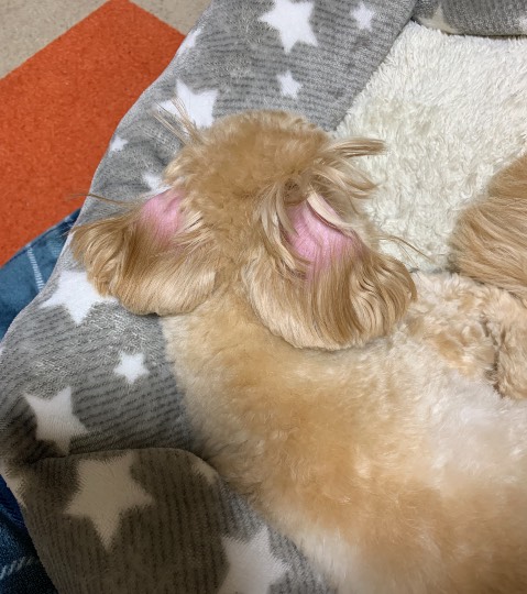 生き物ルーム第33