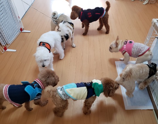 生き物ルーム第33