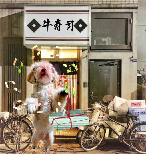 生き物のルーム第32