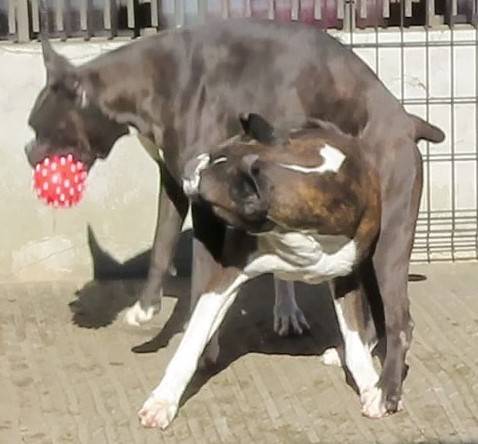 生き物ルーム第33