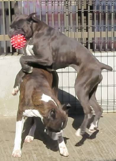 生き物ルーム第33