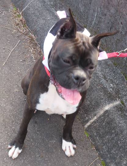 生き物のルーム第32